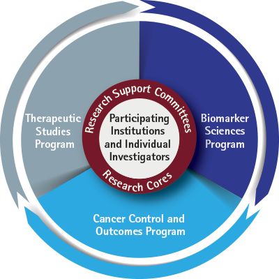 Research Support Committees